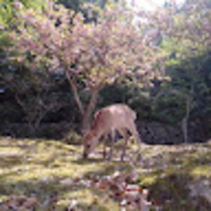 Meet your Posher, Ariana